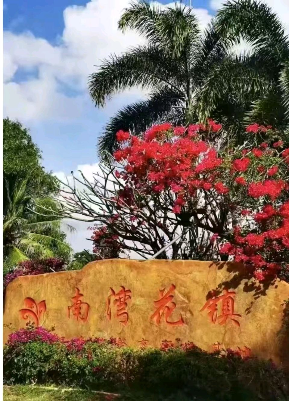 《🇨🇳中国人民诗刊》【 海南陵水南湾花镇剪影】(第3944期）山西诗人:子玉的诗（图2）