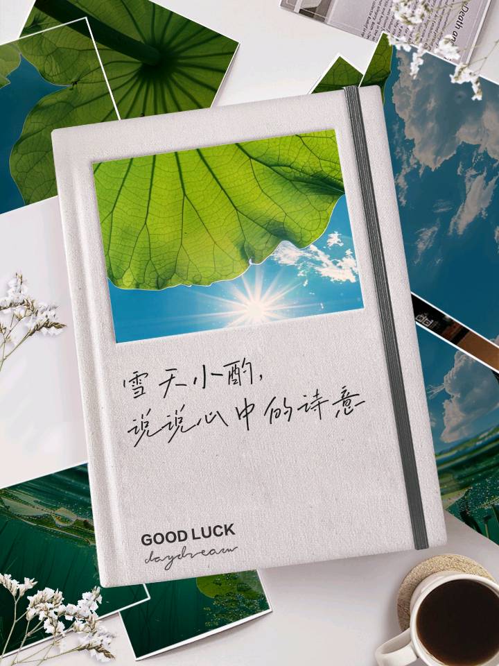 《七绝 • 雪夜小酌》二首/刘国星（图3）