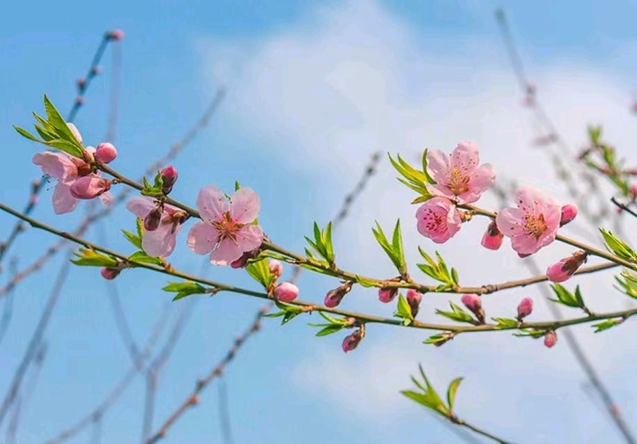 冬春转换（新韵） 作者 周大策（图3）