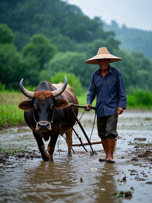 犁铧-文/王漫（贵州）长安街总社【世界诗人名人展】14293期（图4）