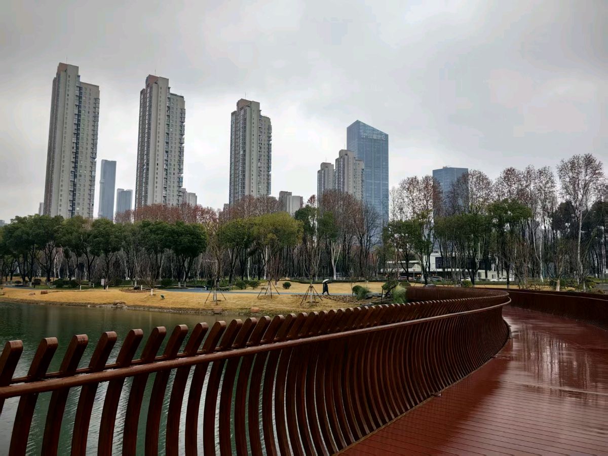 冬雨中情愫.作者：蒋卫平（江苏）（图2）