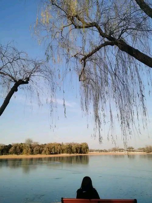 七绝·冬柳万条 （下平十一尤） 藏头诗 作者/周凰（图2）