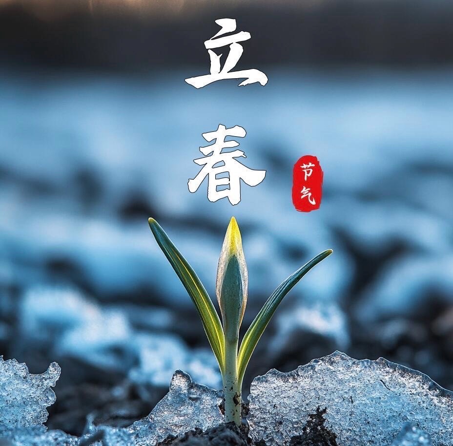红梅诗歌文化传媒||鸿韵作品欣赏（2026—1）（图5）