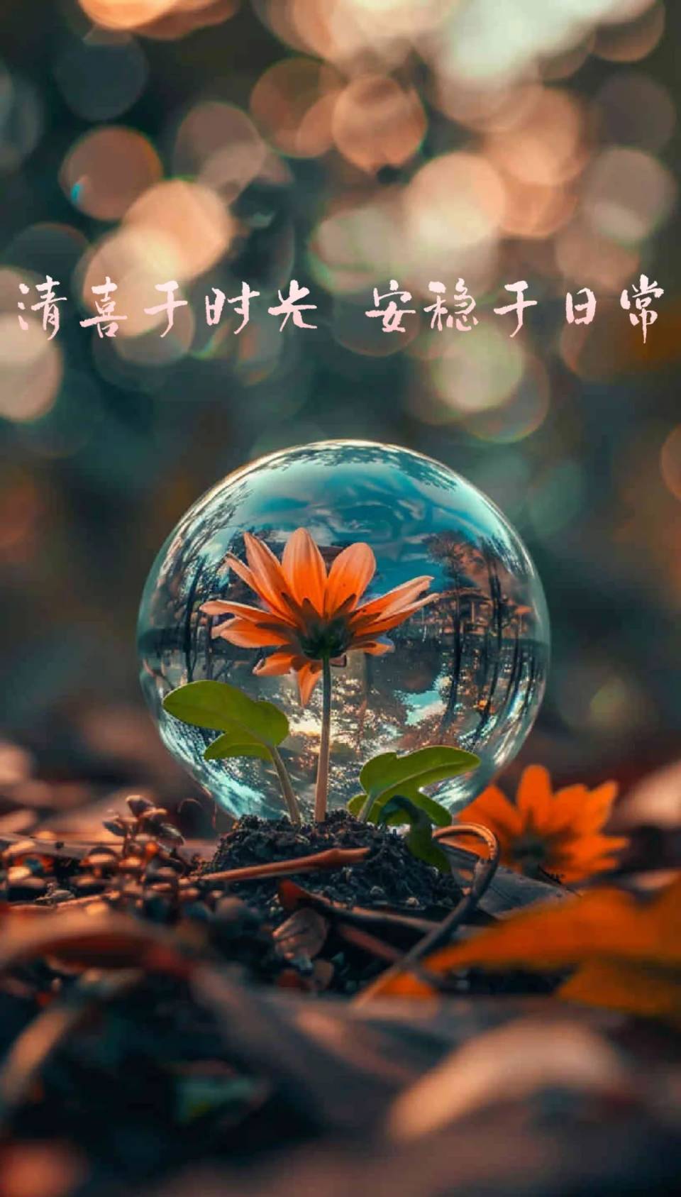 老院情长岁岁不忘（图5）