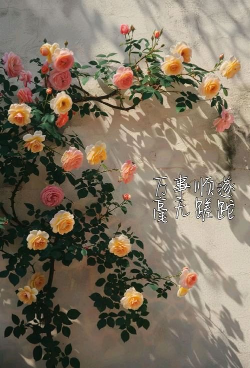 老院情长岁岁不忘（图11）