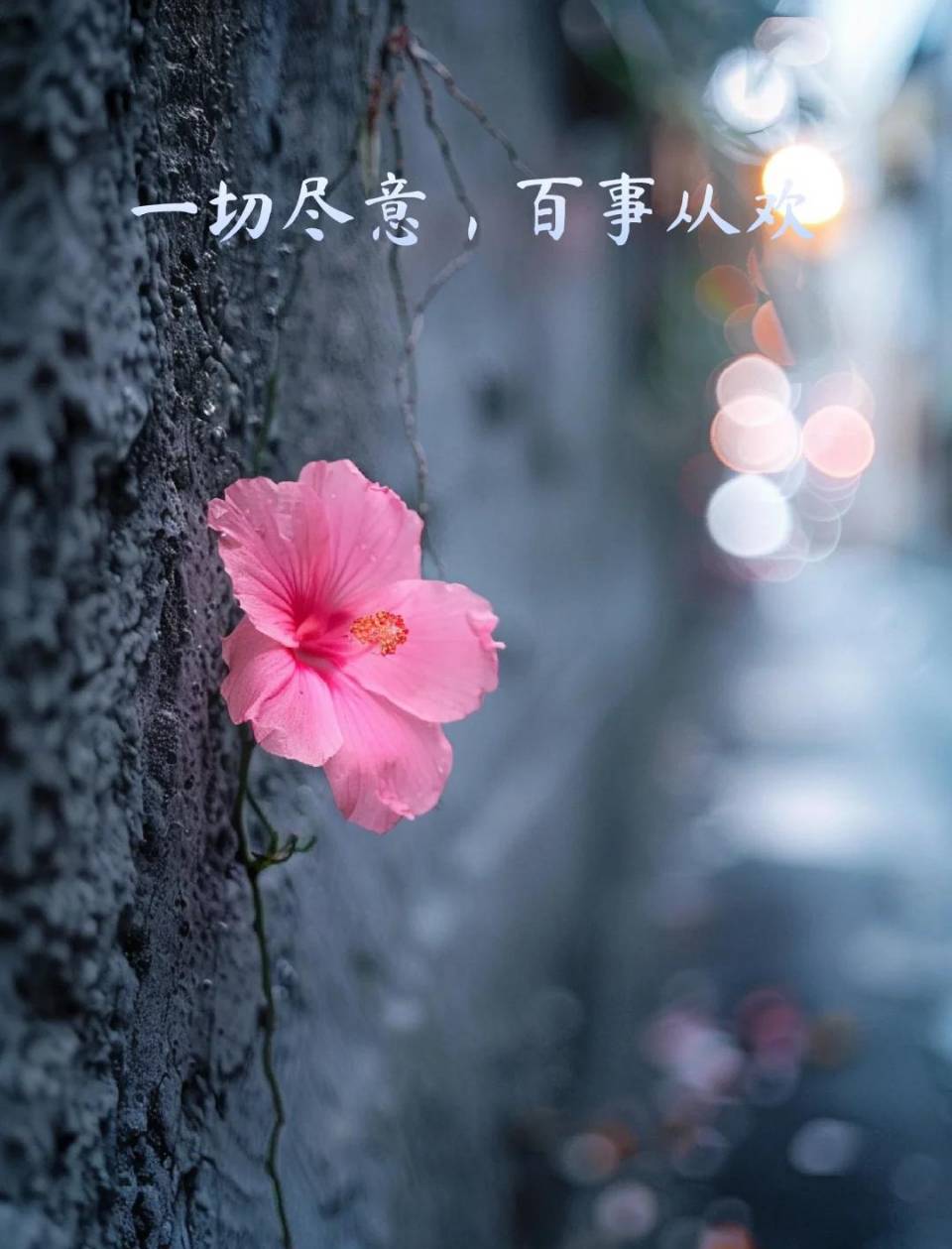 老院情长岁岁不忘（图13）
