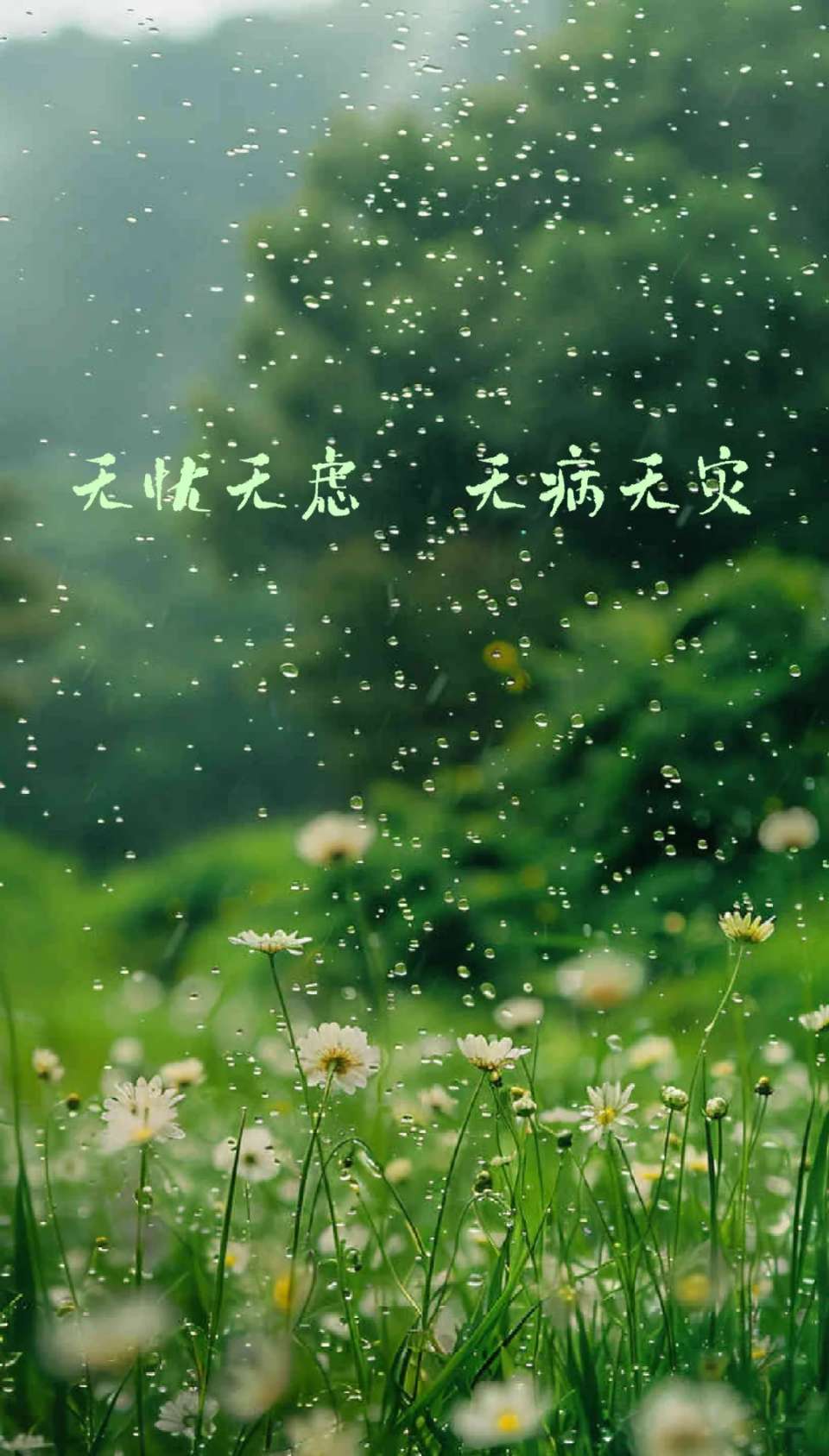 老院情长岁岁不忘（图9）
