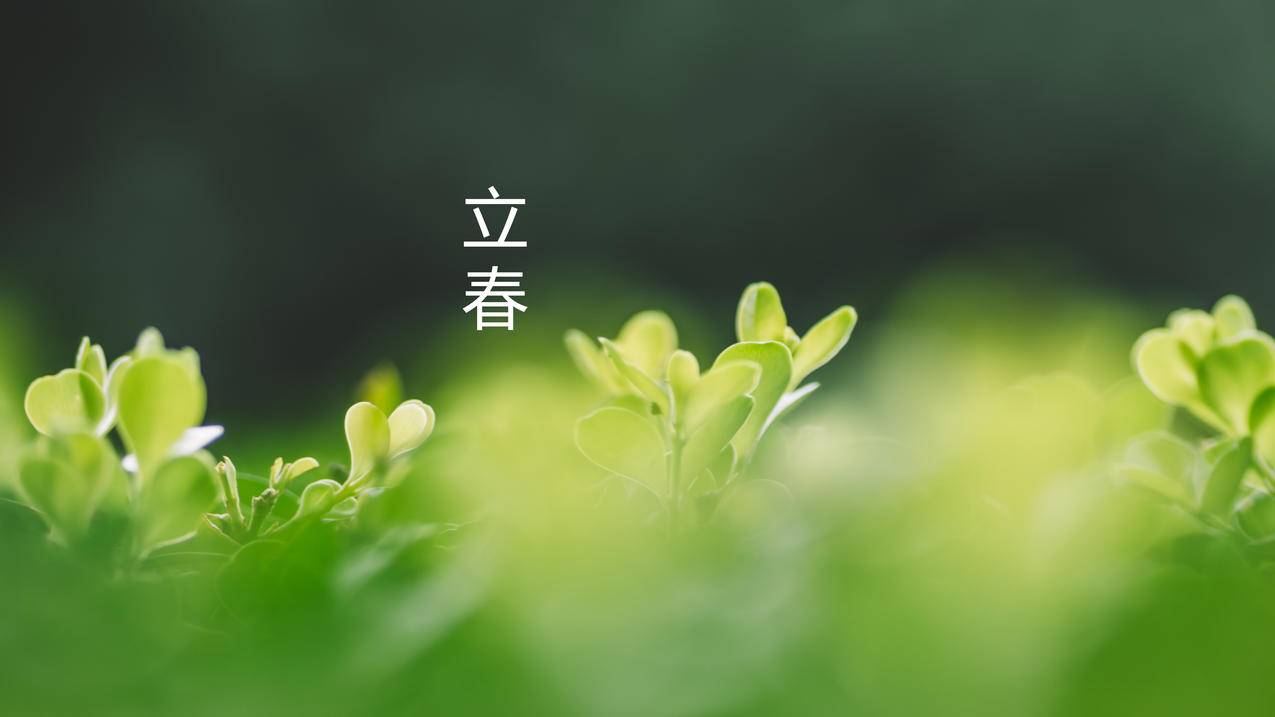 七律/立春抒怀/徐晓民