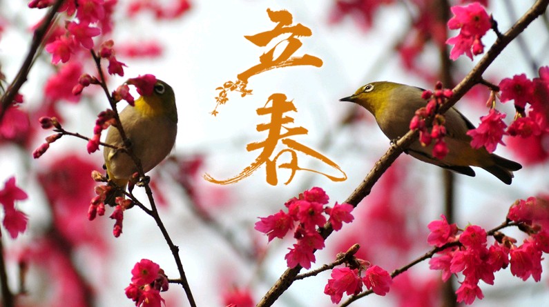 【荣耀中国】文学社*立春文/王富保山西和顺)（图3）