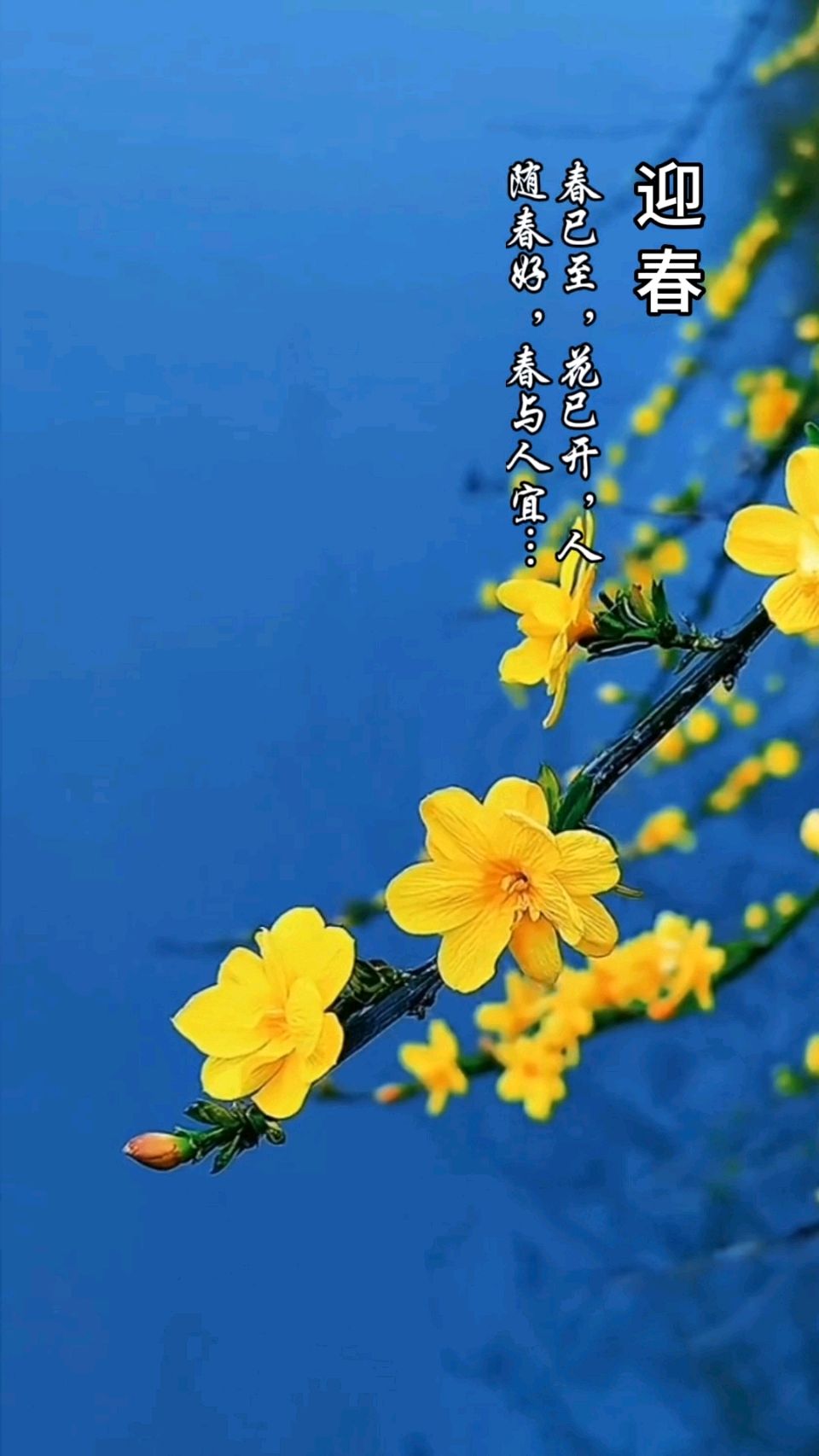 七律-迎春～宁国振（赤峰）（图11）
