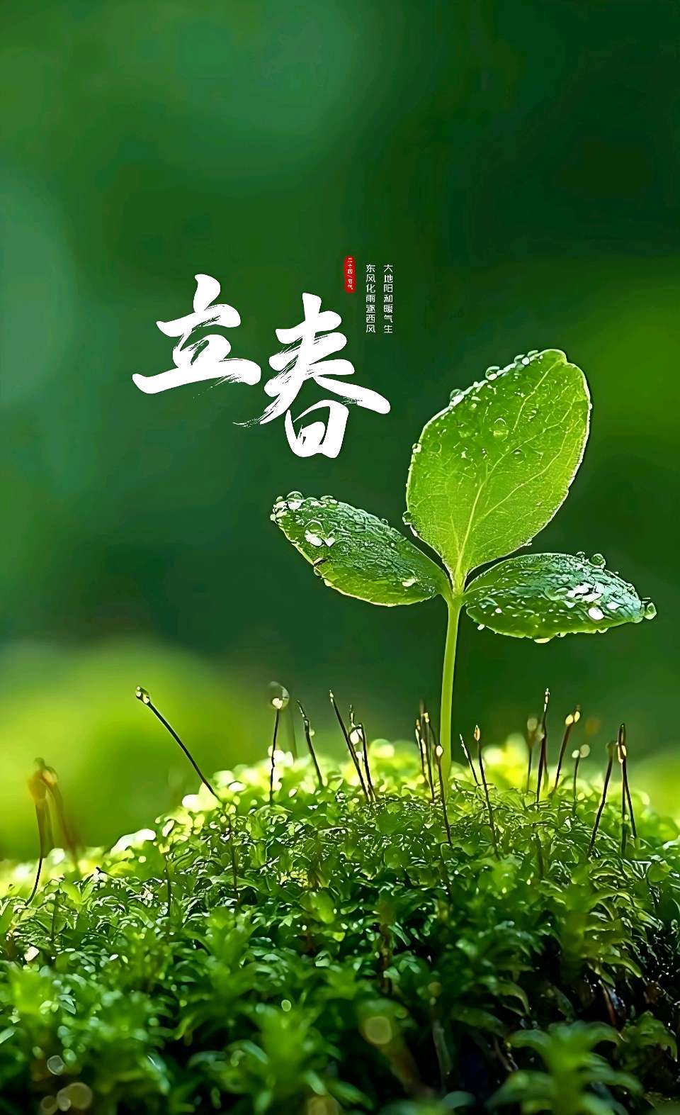 请欣赏李晶华老师的诗词三首/朗诵：清源（图2）