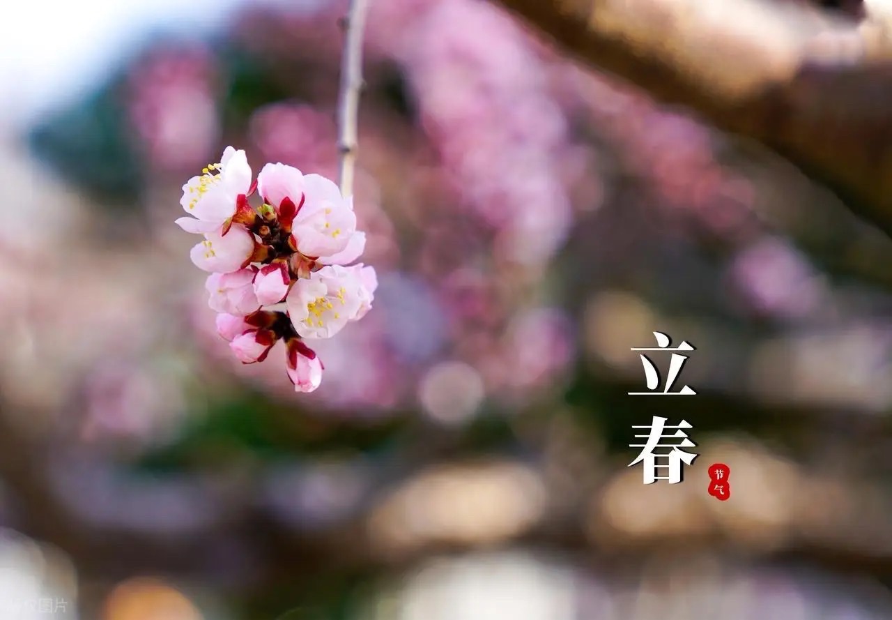 【新诗大观】立春曲五则||文/张道发（图3）