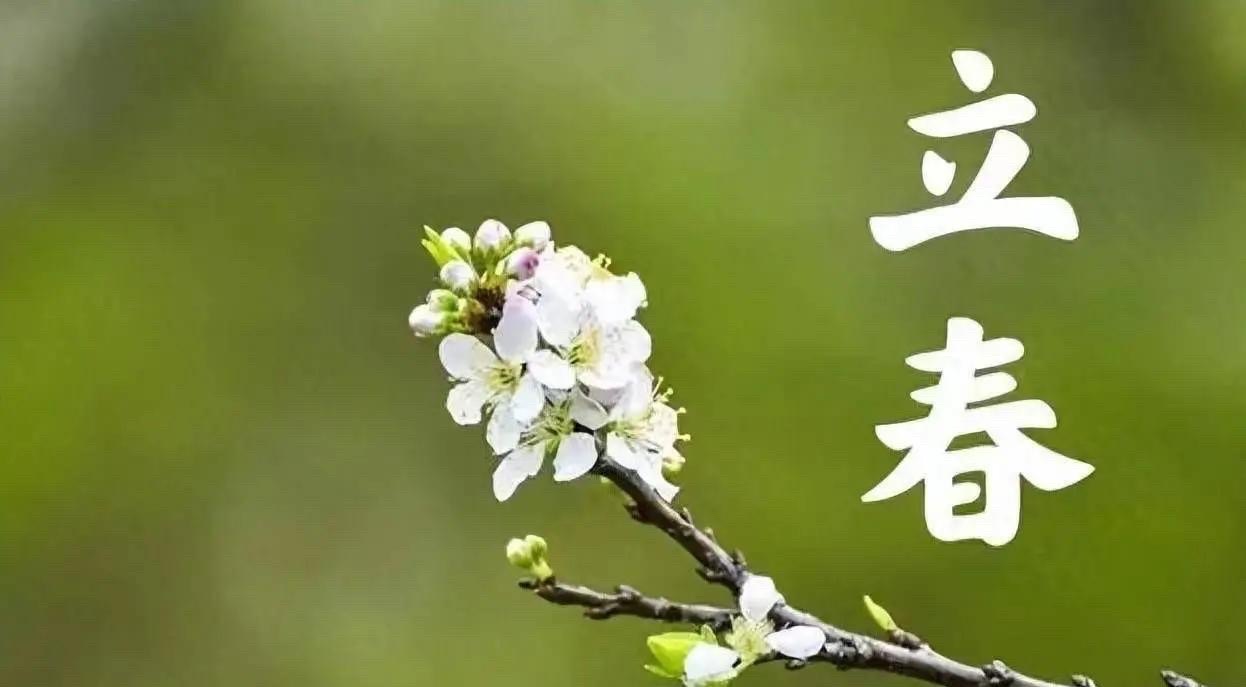 【新诗大观】立春：心的苏醒||文/宁儿（图4）