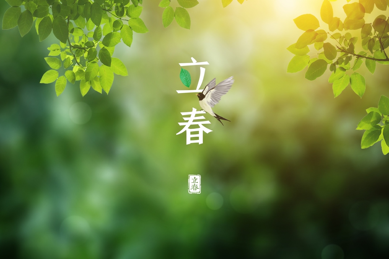 【新诗大观】立春：心的苏醒||文/宁儿（图3）