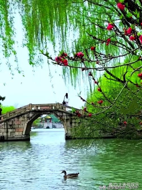 🌺卞荔莎诗词选-文/卞荔莎（美国）世界诗歌研究院【世界诗人名人展】14298期（图13）