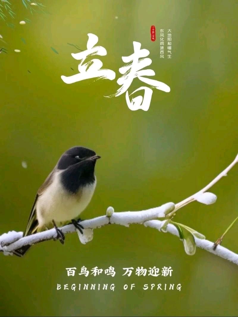 自由体《立春辞》外一首/文/郑金波