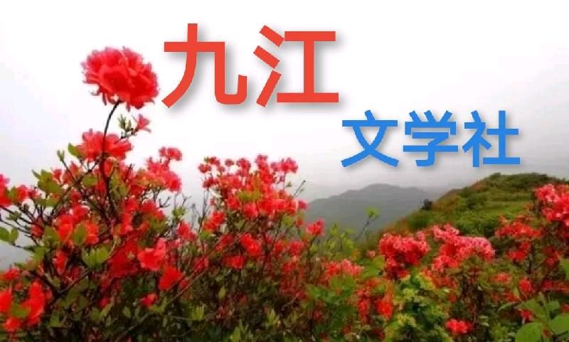 【九江文学社五周年庆2】《五载淬火墨香长》 ——热烈祝贺九江文学社成立五周年 （外三首） 文/蔡治华（甘肃）金牌主播/上善若水（图4）