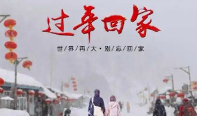 【新诗大观】过年回家||文/岳国栋（图3）