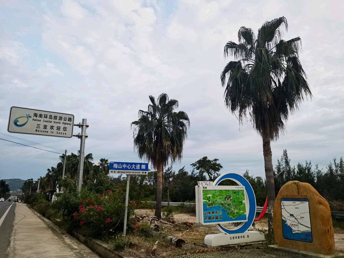 这个小区有31个省份的车