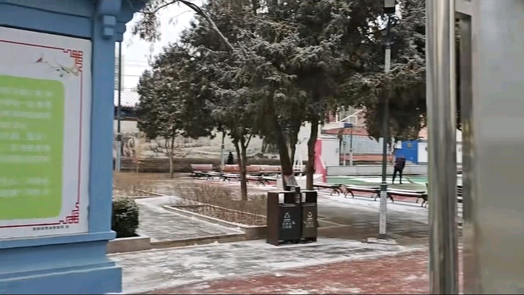 志愿清雪保畅通 守护场馆敬英烈（图3）