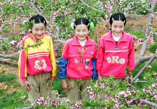 三朵鲜花，作者，楼明贤（图3）