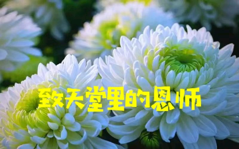 致天堂里的恩师～龚国珍（湖北）（图11）