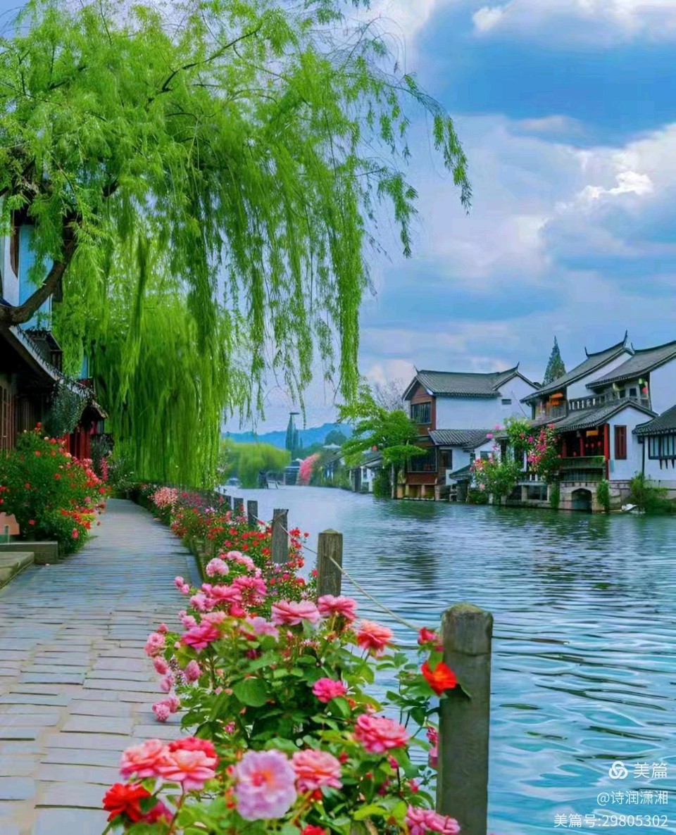 《七律 • 春之声》文/李林