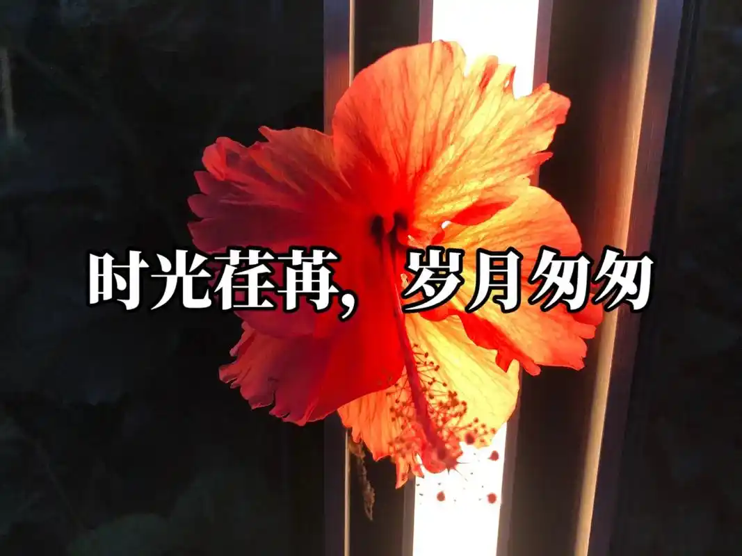 陕西作者母明义《一首难忘的歌》（图3）