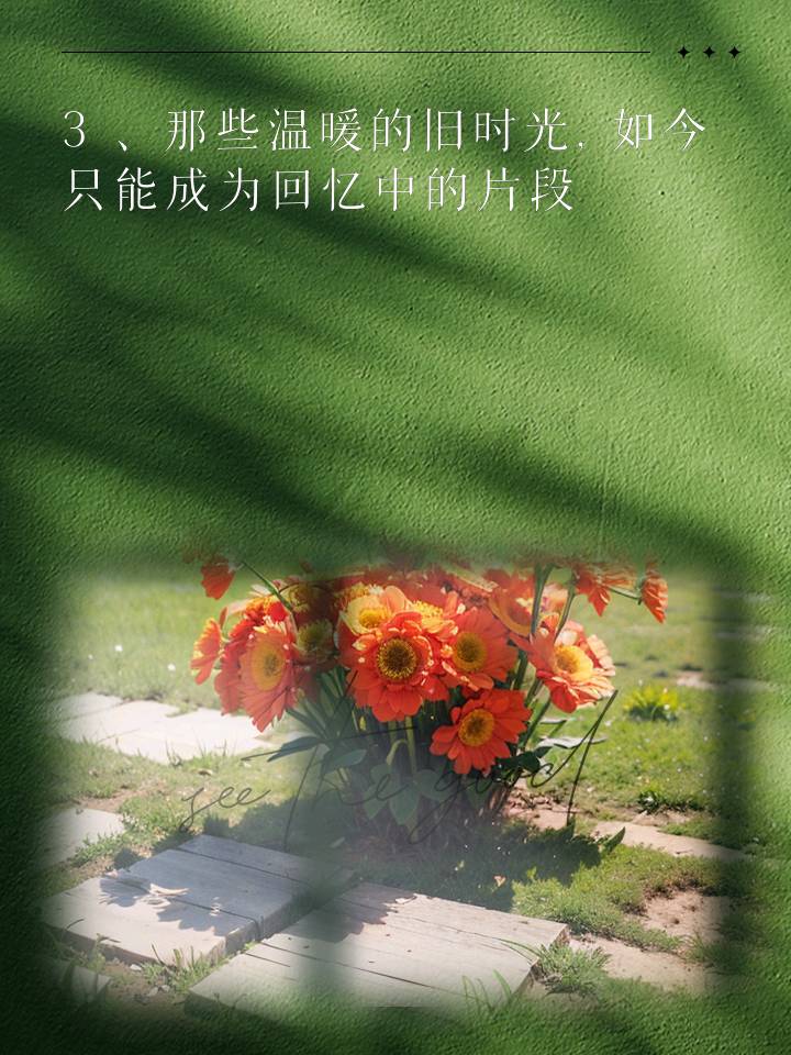 陕西作者母明义《一首难忘的歌》（图5）