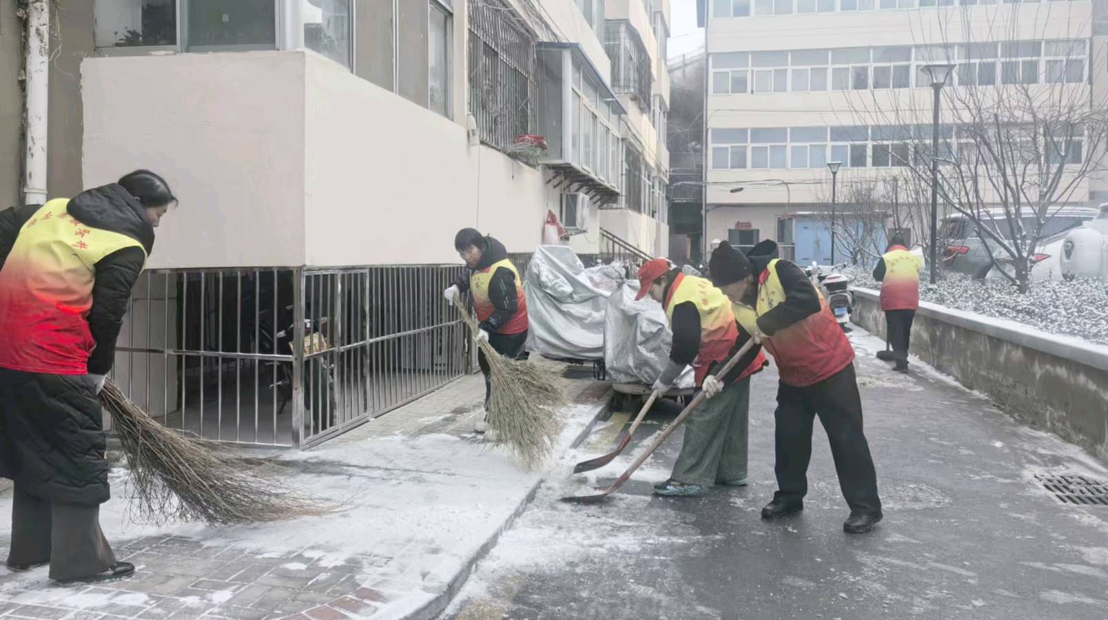 除雪护行暖人心 志愿服务迎新春（图4）