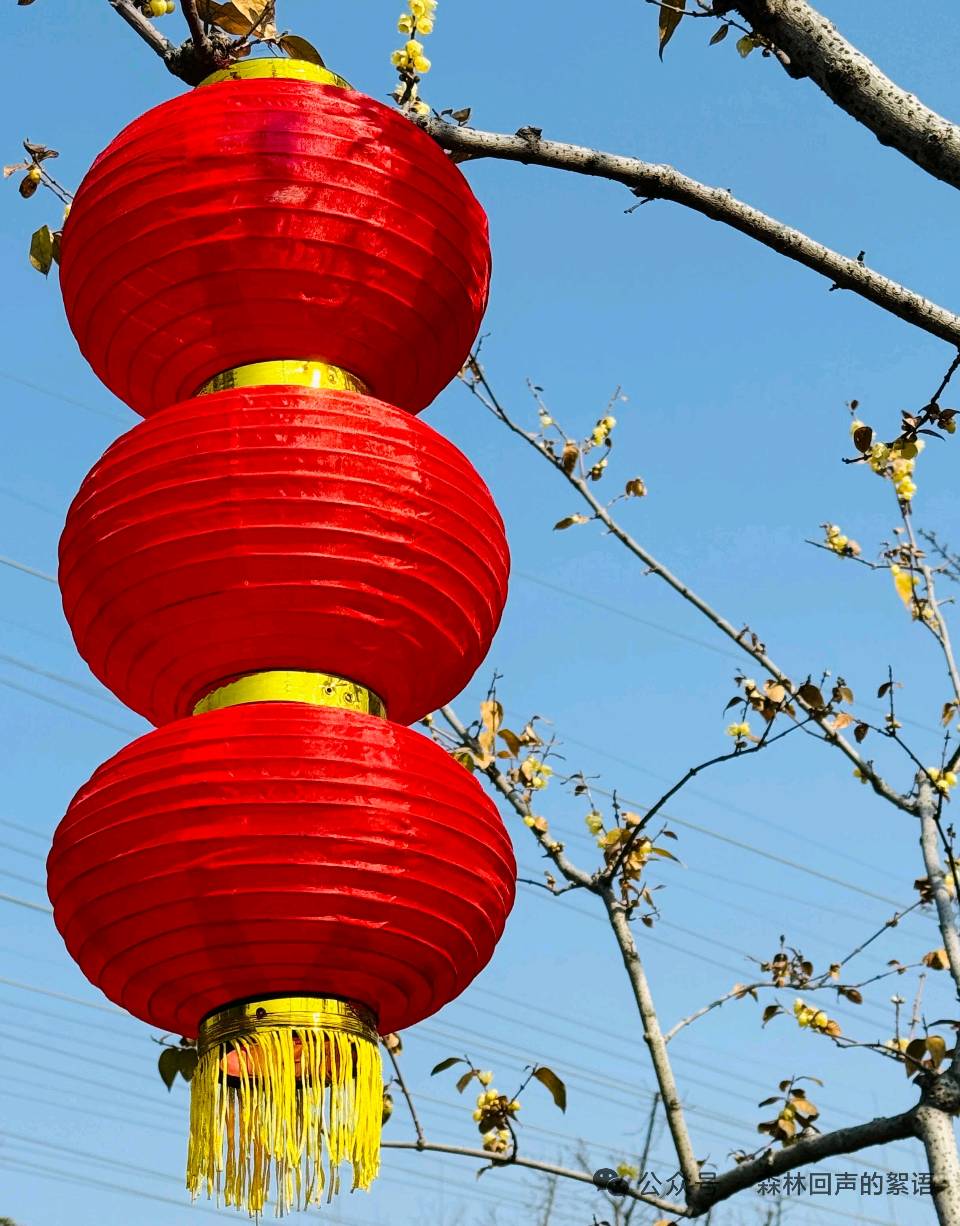 说年(图7)