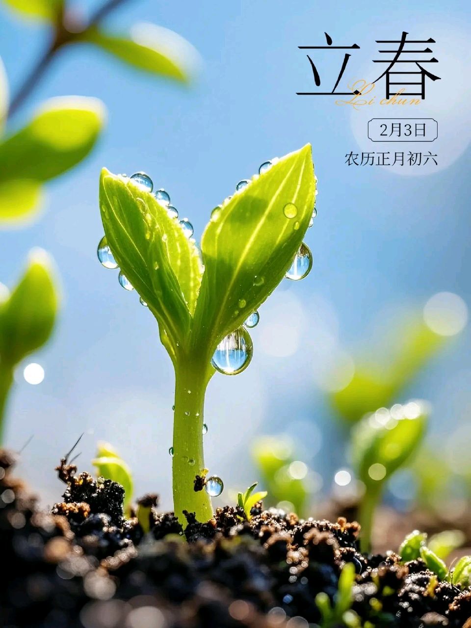 【神州源流诗苑】第1463期优秀近体诗周刊(图6)