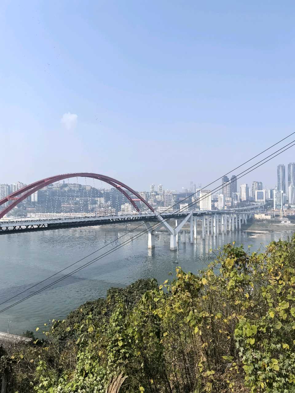 「散文」春行南岸：江风与暖阳里的江宛时光（图5）