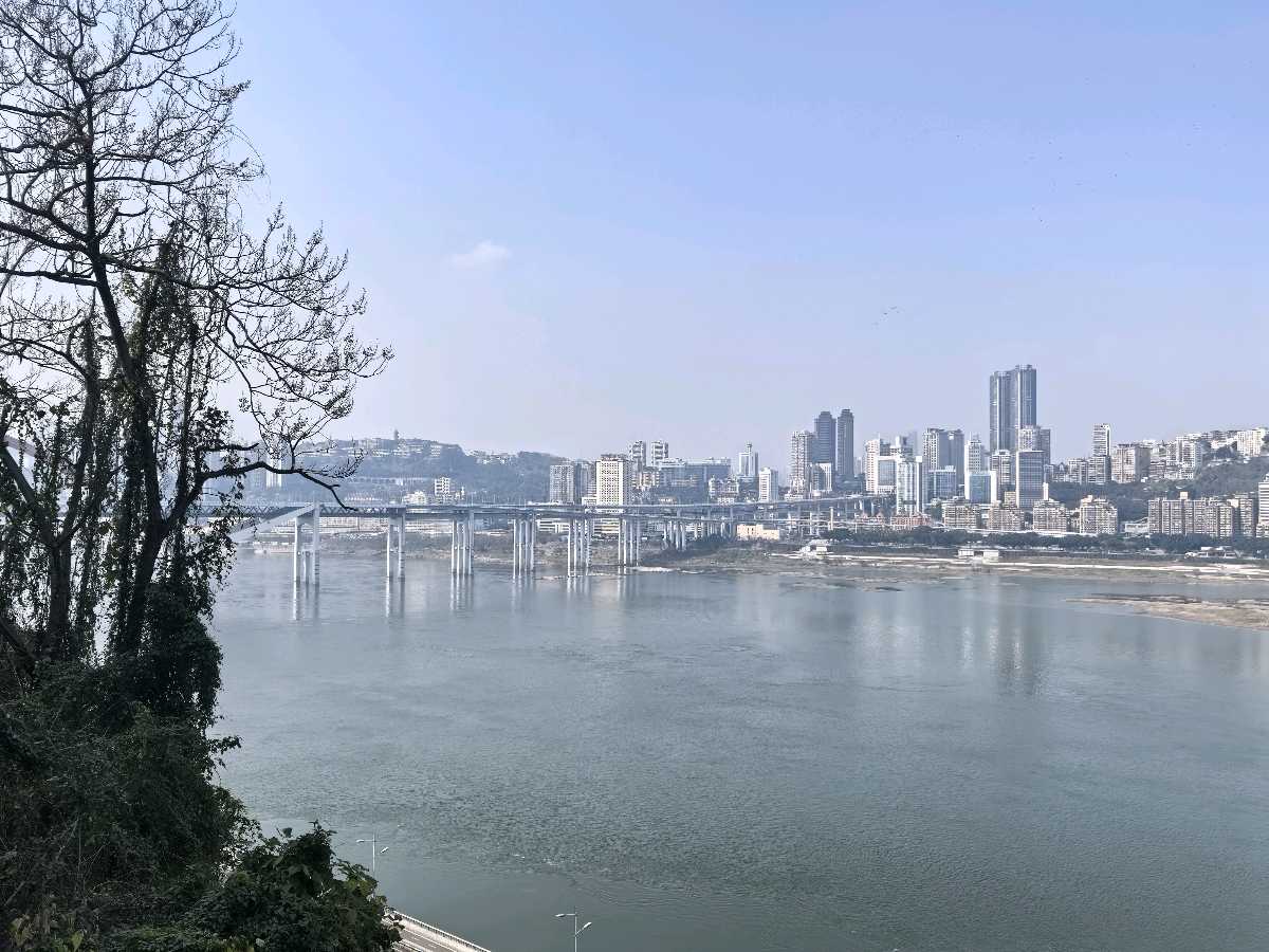 「散文」春行南岸：江风与暖阳里的江宛时光（图6）