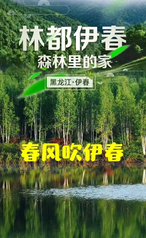 守护～柳宪权（黑龙江）（图16）