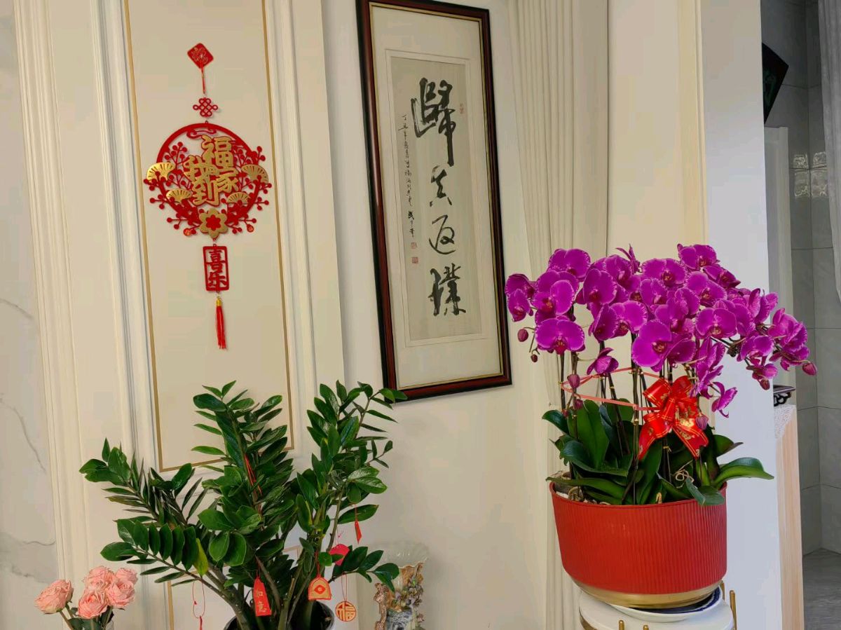 花开喜迎春[庆祝]（图3）