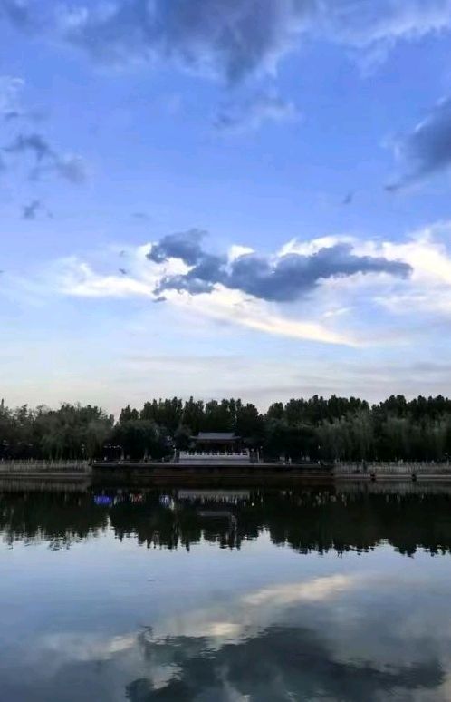 骐骥任驰骋☁（图6）