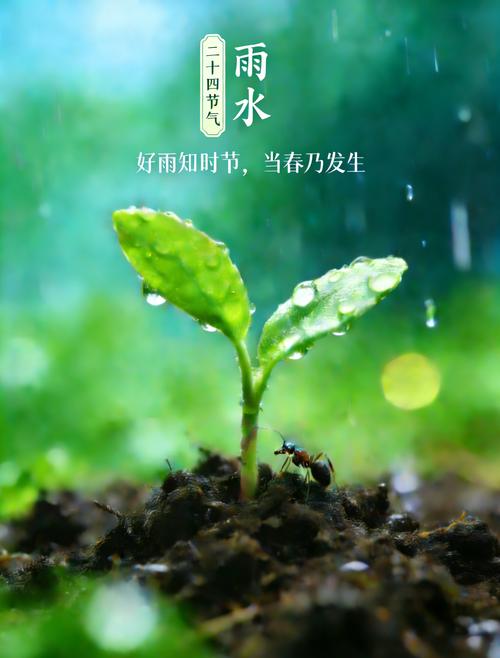 腊月廿八晨祝等诗词十二首/梁纯锋（图12）