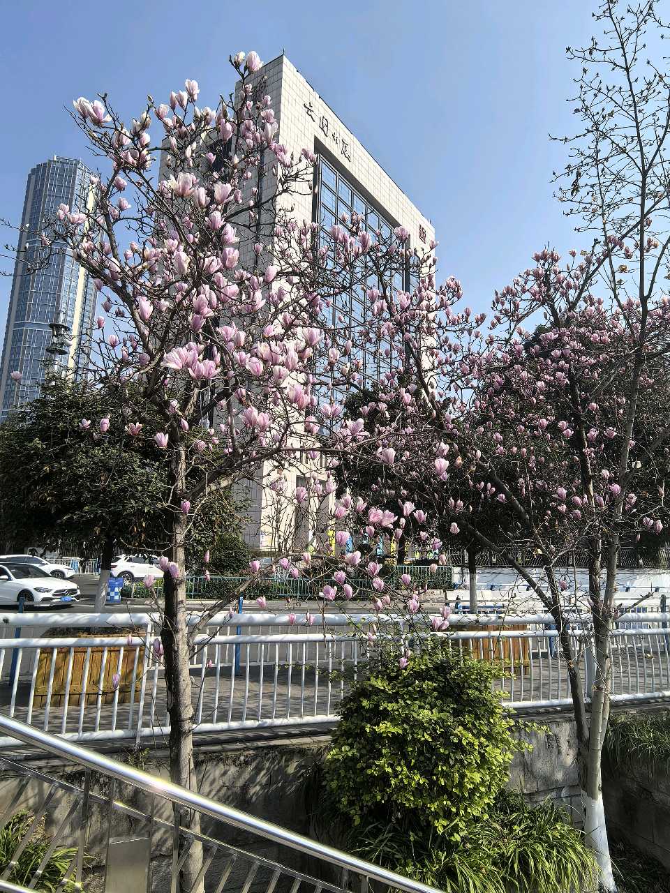 「散文」家门口的春光，两路口的新章（图10）