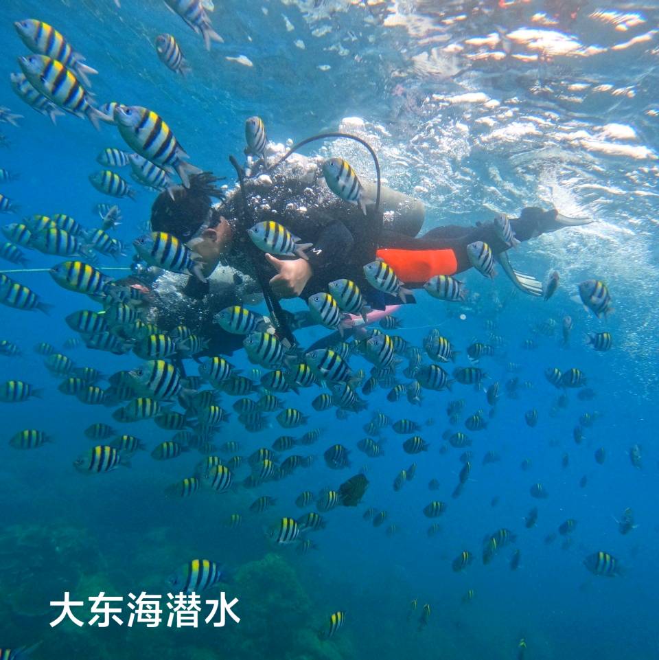 三亚大东海（外一首）李耀文（辽宁）（图22）