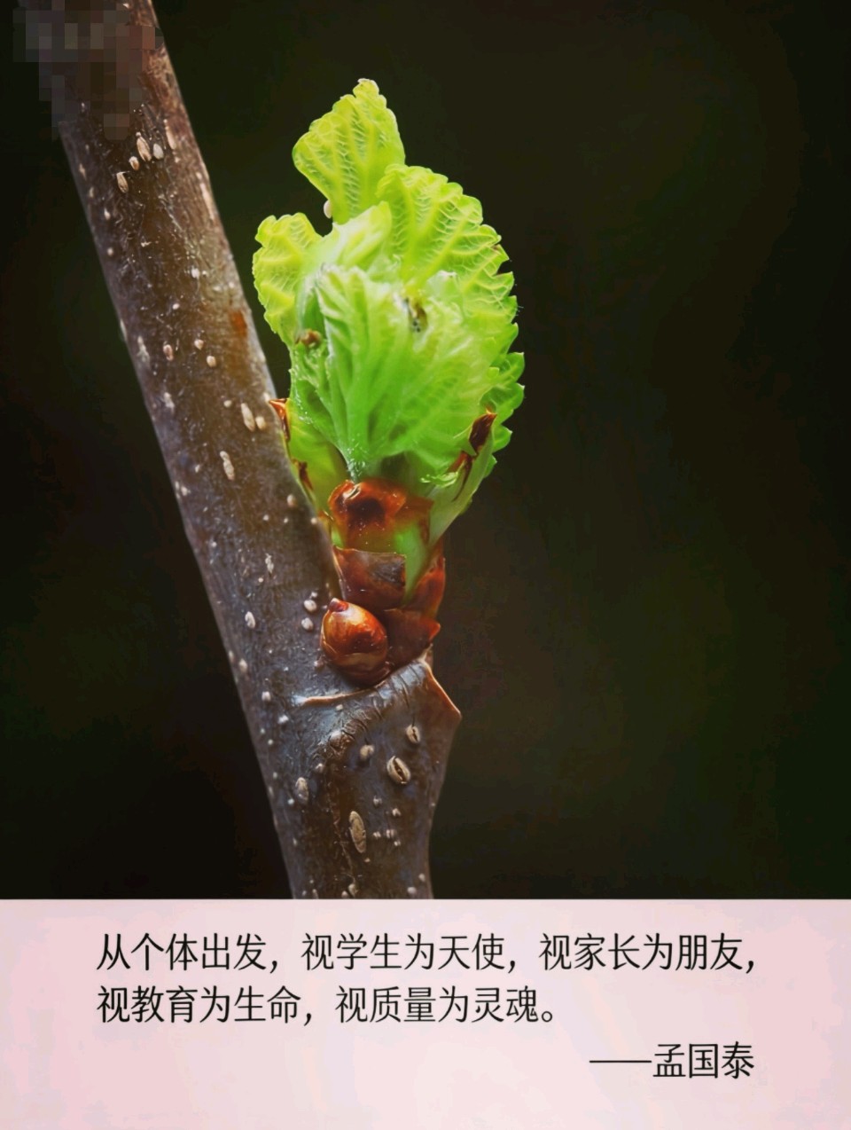 李育民:服务做到位,学校有地位