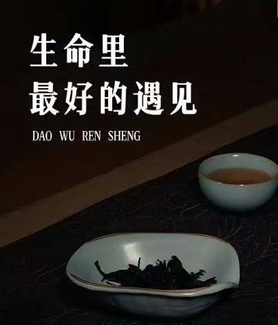 武庆森2026年2月练笔63首（图54）