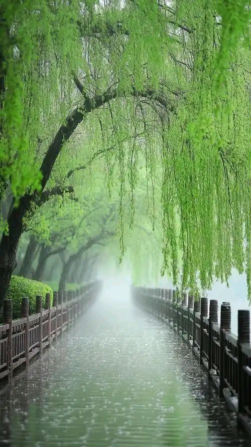 【老丫文苑】张国盛//五绝 春风雨露香//（广东）（图3）