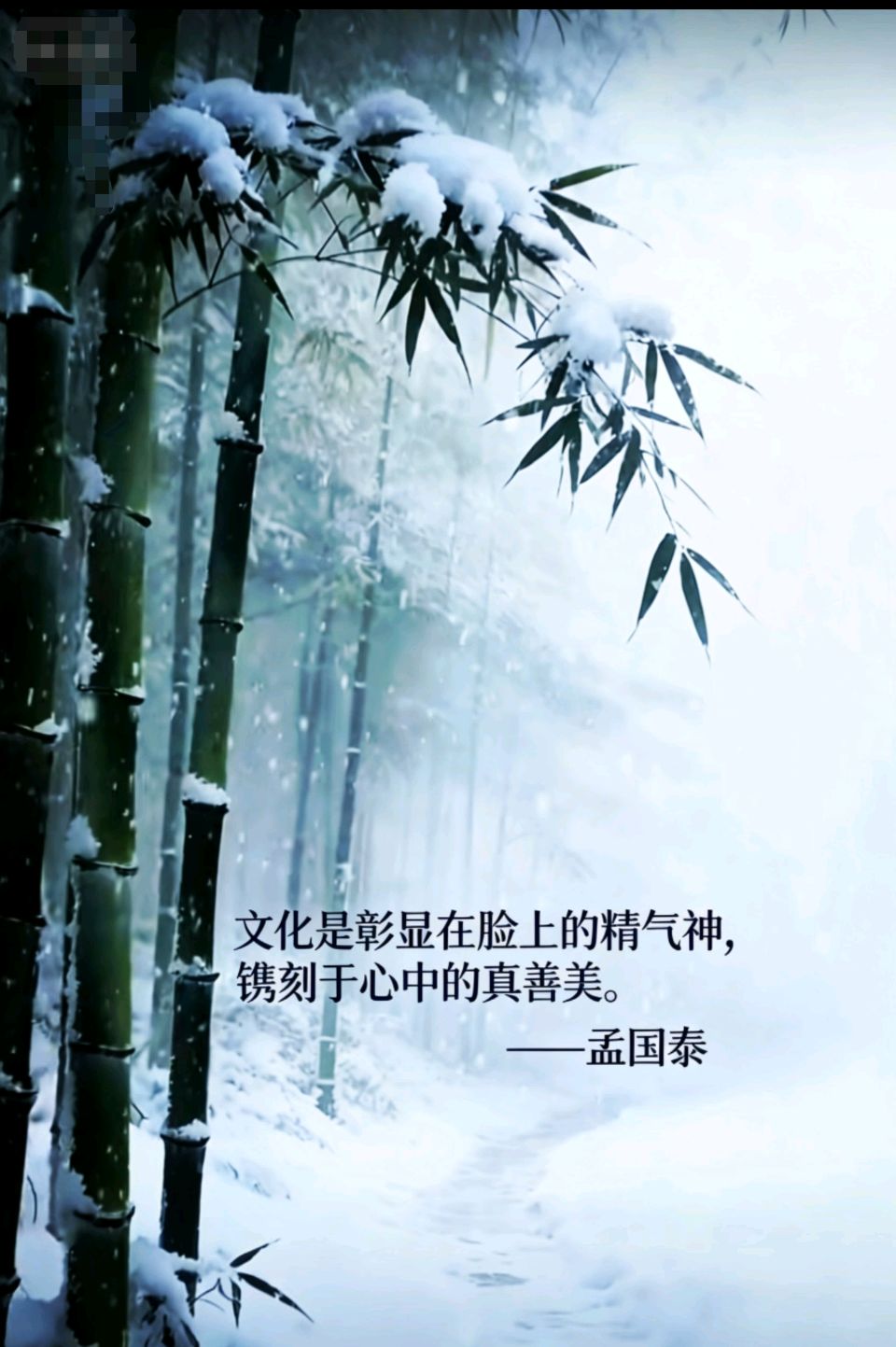 以文化人，以化成天下——孟国泰文化观的深度阐释