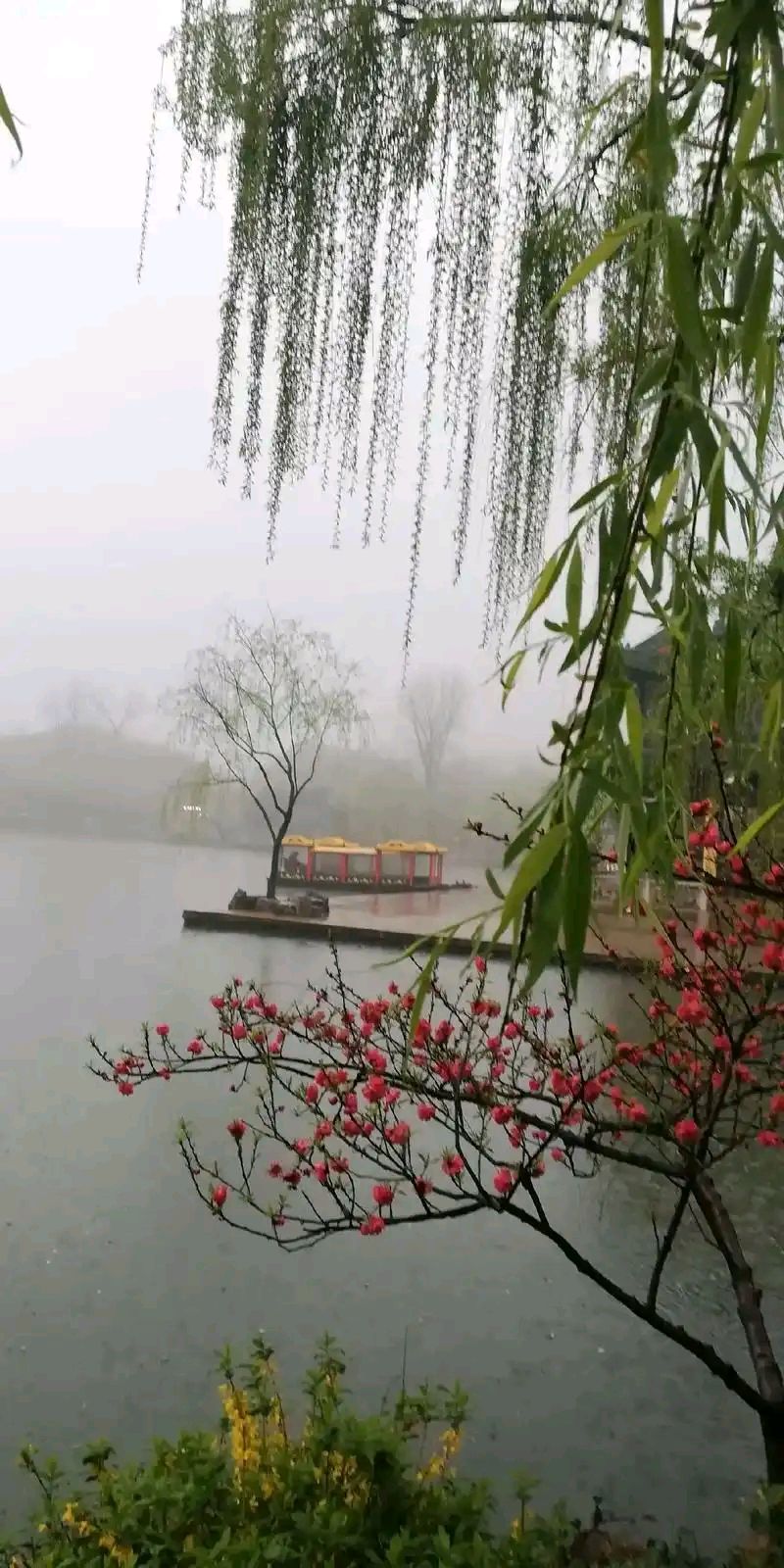 春发声（5）||巴彦诗协【1195】（图9）