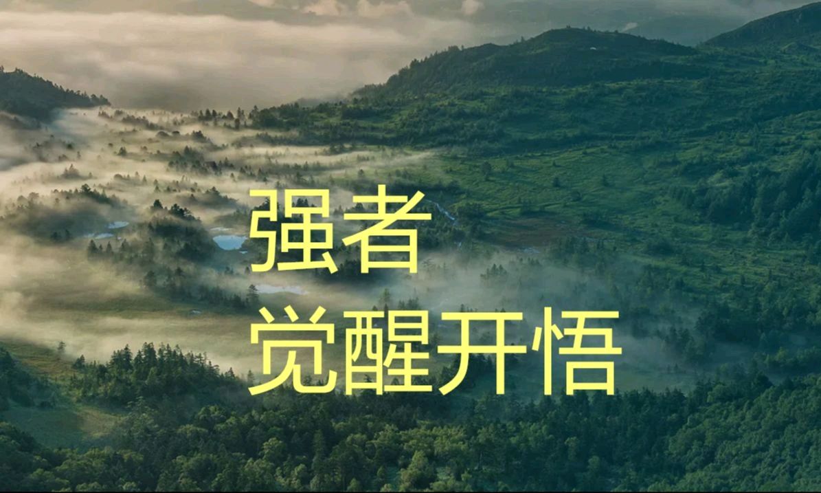 唱和王政老师《马年自题》李宣财（福建）（图24）