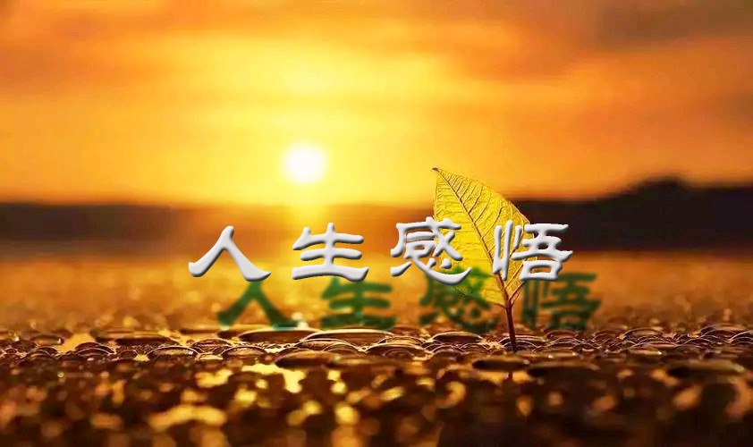 唱和王政老师《马年自题》李宣财（福建）（图18）