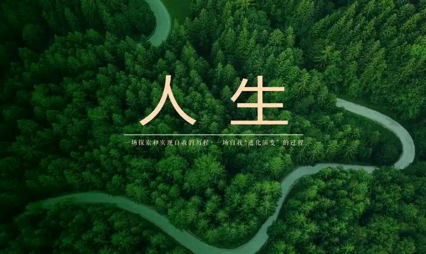 唱和王政老师《马年自题》李宣财（福建）（图16）