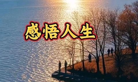 唱和王政老师《马年自题》李宣财（福建）（图22）