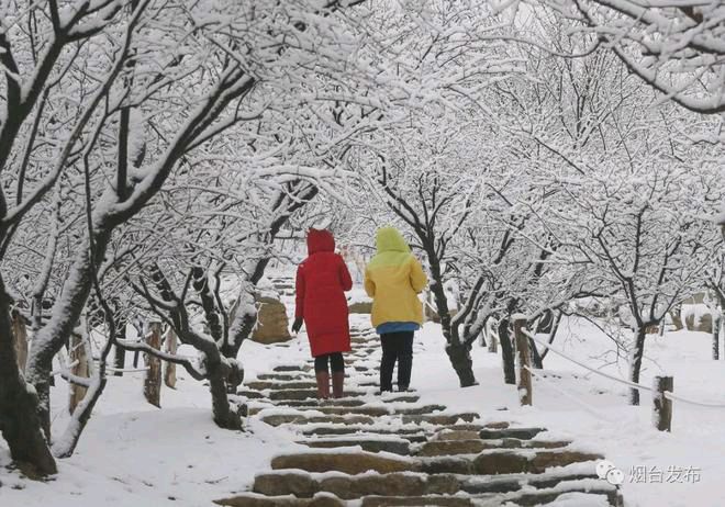 春雪 文/北极星（图2）